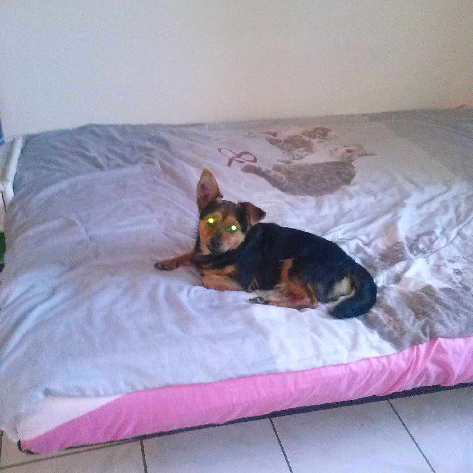 Hélios
