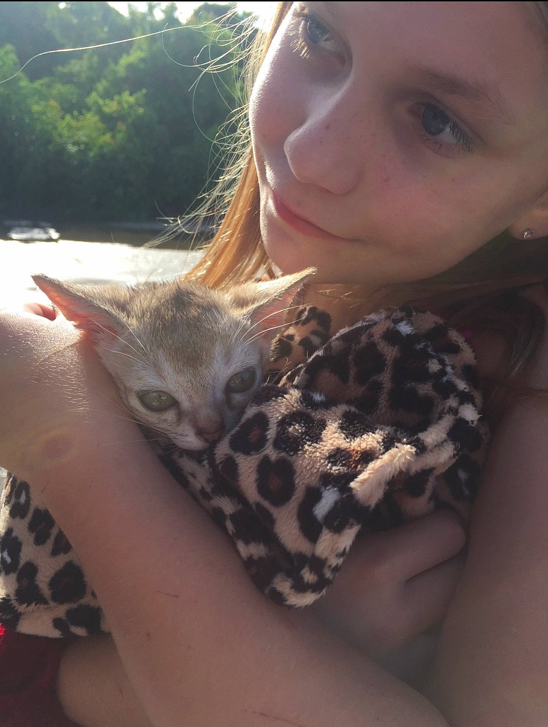 Simba Kgosi is registered to the contest to win money with this photo: cat, cat_like_mammal, ear, face, finger, girl, head, mammal, neck, person, selfie, skin, small_to_medium_sized_cats