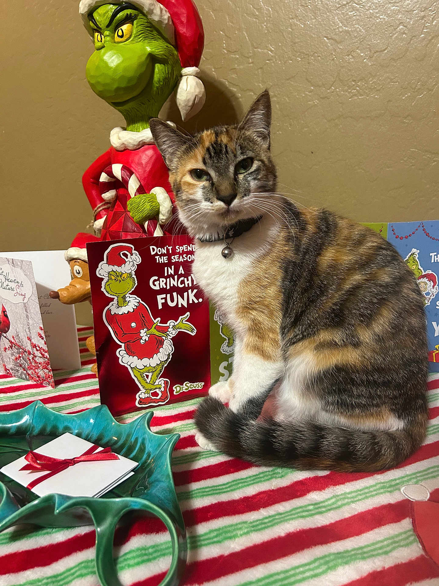 Rumi joined the competition — help win amazing prizes! cat, calico_cat, grinch, figurine, christmas_card, holiday_decor, striped_tablecloth, collar_with_bell, indoor, sitting, close_up, tabletop, ceramic_dish, green_figure, festive, greeting_card, portrait, pet, statue, fur_pattern