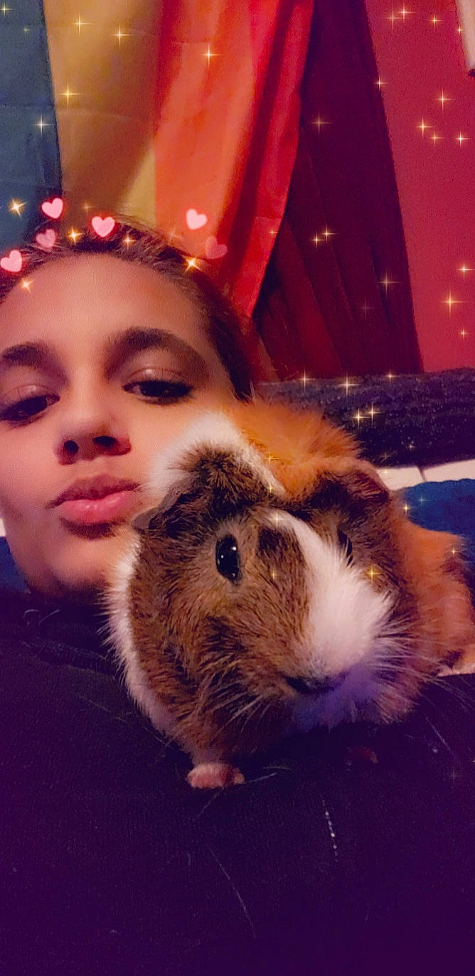 Marcel And Alaric joined the competition — help win amazing prizes! ear, fawn, fur, guinea_pig, hamster, nose, person, photography, rabbit, rabbits_and_hares, rodent, selfie, whiskers