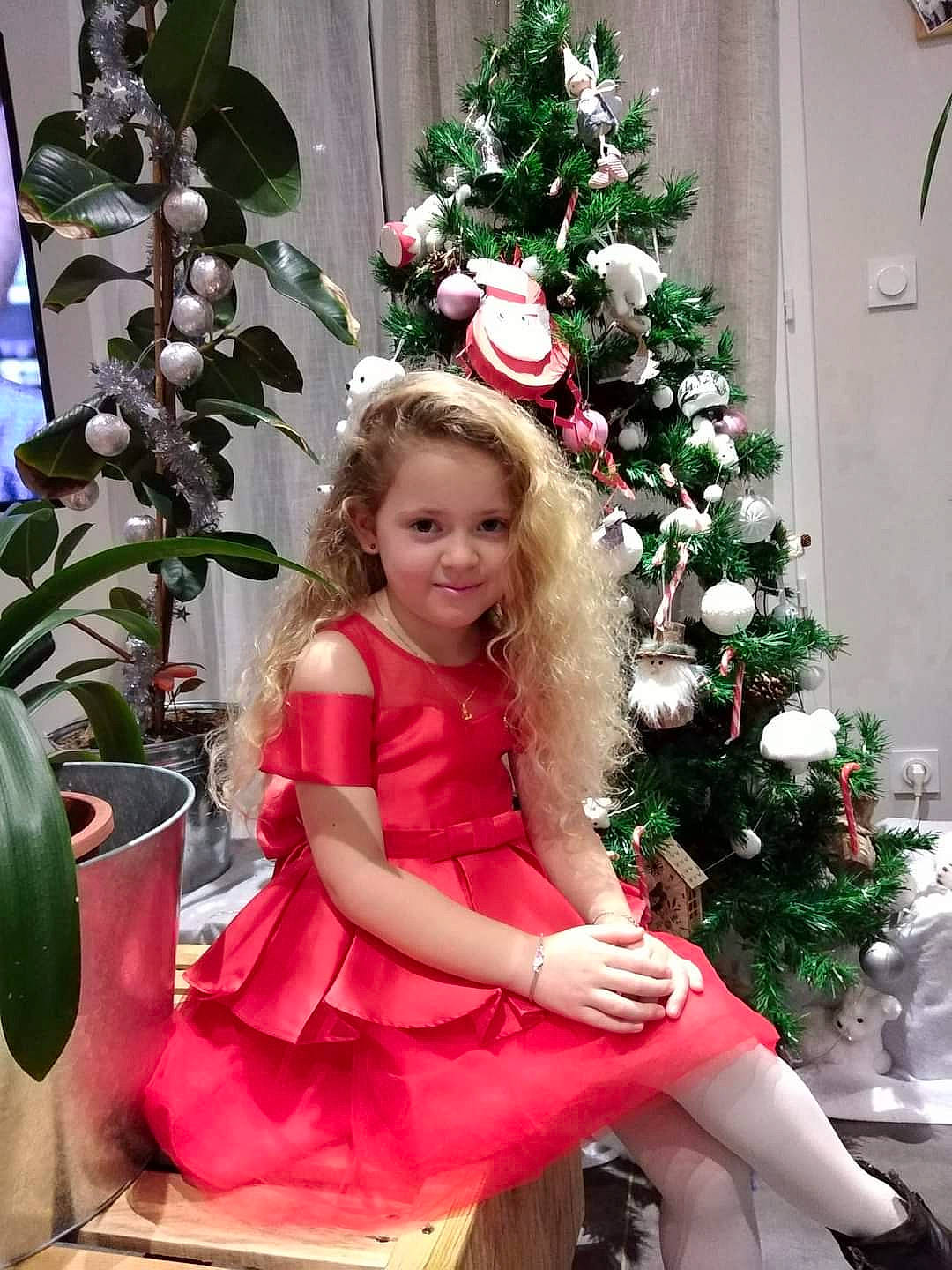 Laly a rejoint le concours — aidez-le/la à gagner de superbes lots ! branch, christmas_decoration, christmas_ornament, christmas_tree, flowerpot, happy, head, holiday_ornament, houseplant, joy, leaf, organ, people, person, photograph, plant, red, smile, standing, tree