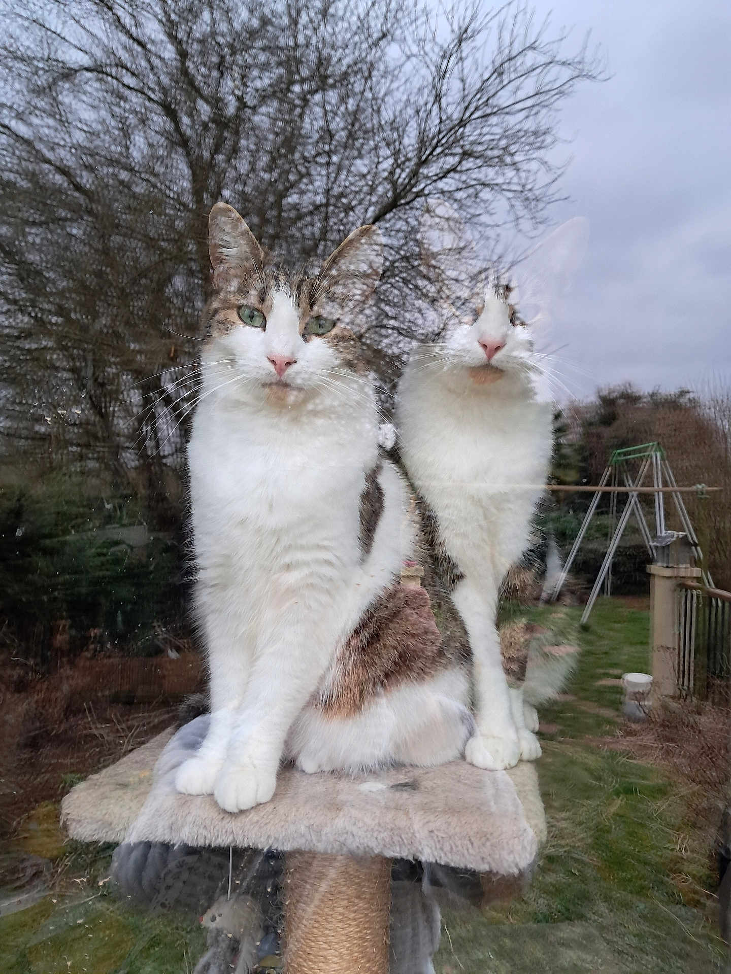 Lord Et Milady