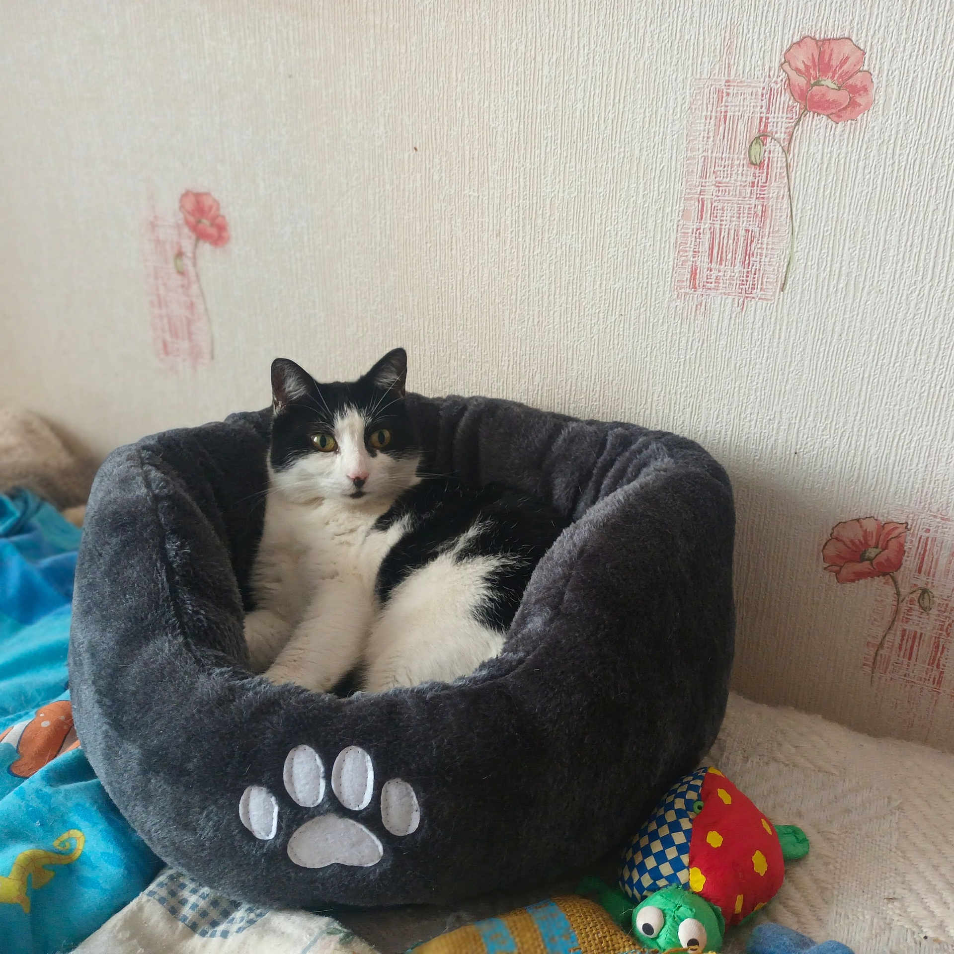 Minette