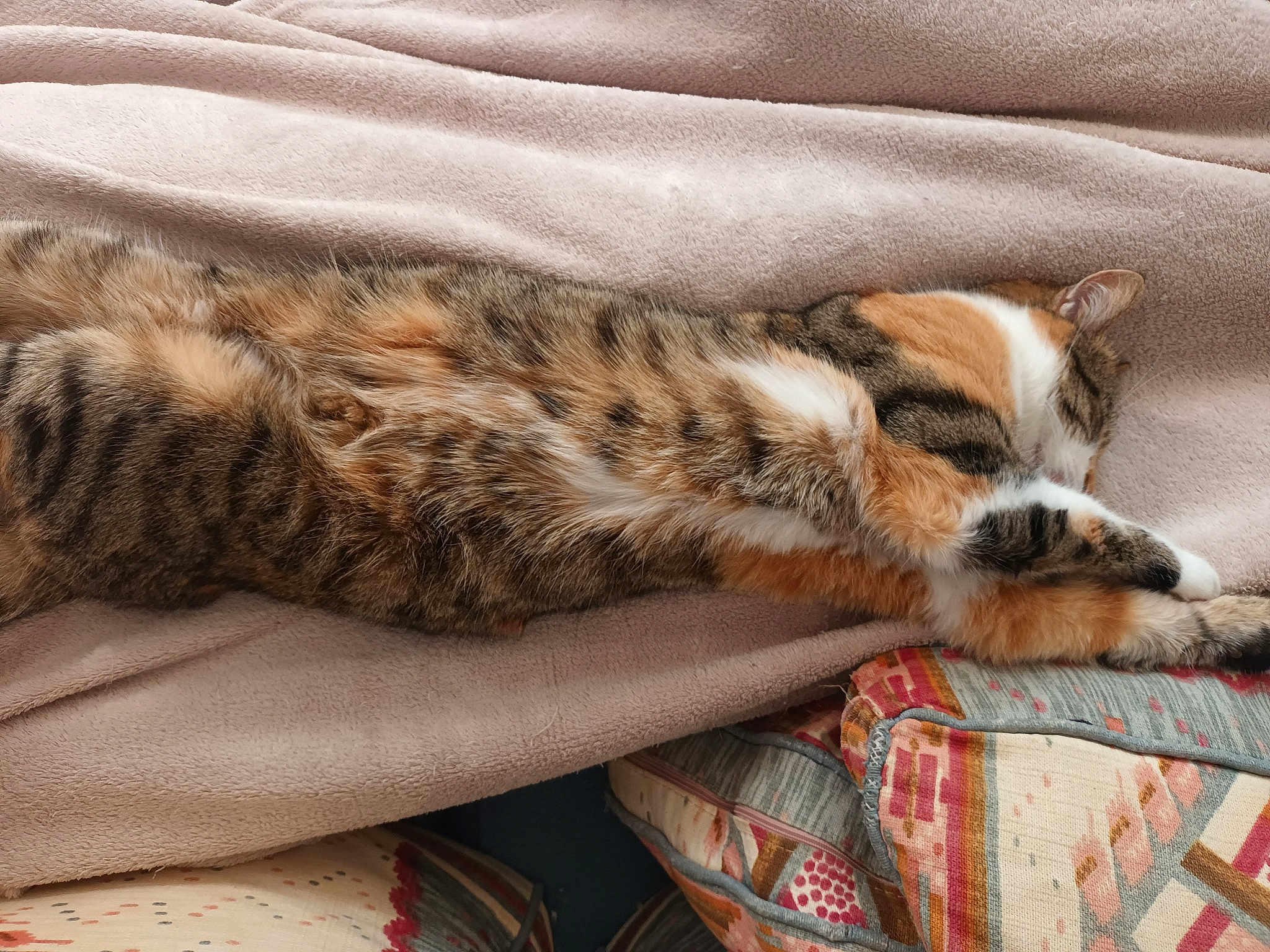 Juliette