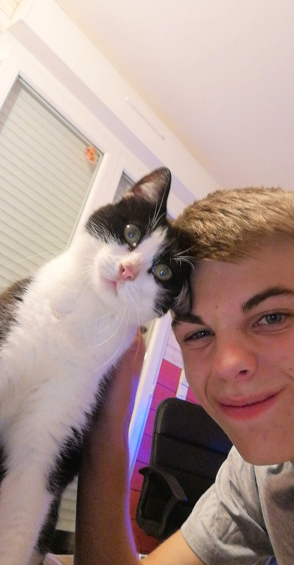 Minette a rejoint le concours — aidez-le/la à gagner de superbes lots ! carnivore, cat, child, domestic_short_haired_cat, ear, eye, felidae, fur, iris, kitten, nose, polydactyl_cat, selfie, shoulder, skin, small_to_medium_sized_cats, smile, snapshot, turkish_van, whiskers