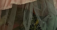 Rosie is registered to the contest to win money with this photo: cat, tabby_cat, pet, animal, feline, white_paw, hiding, canopy, pink_fabric, daisies, mesh, curtain, blanket, cozy, indoors, portrait, close_up, resting, playful, secret_fort