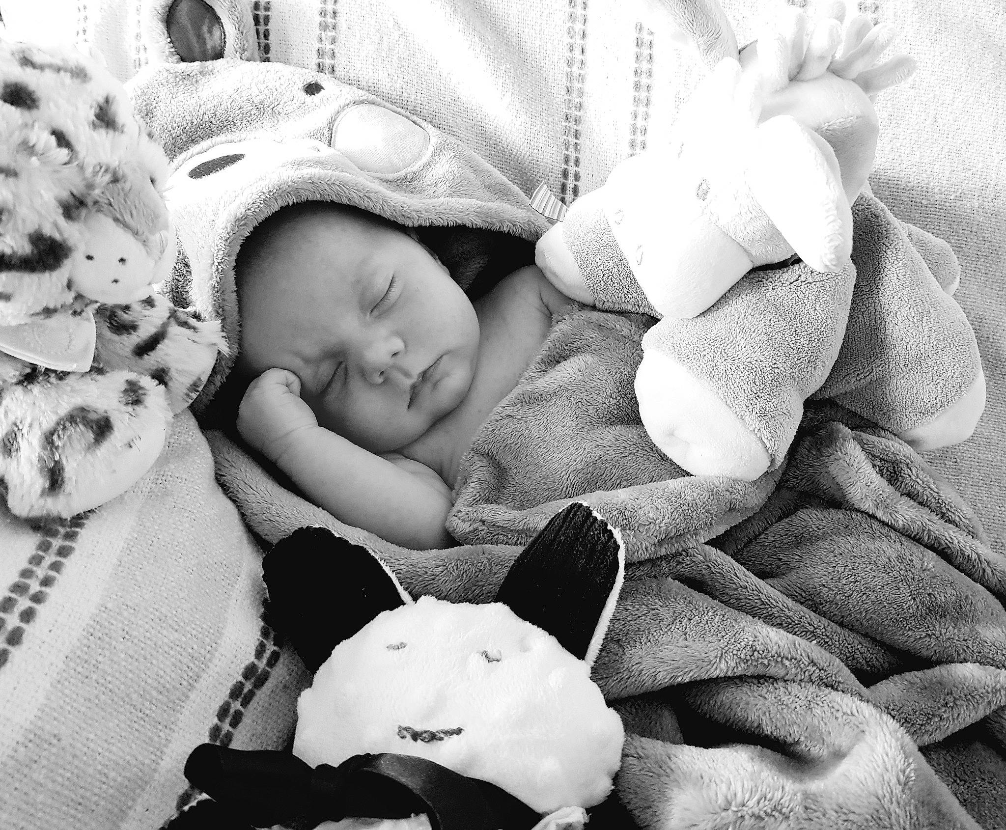 Enaël participe au concours pour gagner de l'argent avec cette photo : baby, baby_sleeping, bedtime, birth, black_and_white, child, happy, monochrome, monochrome_photography, nap, person, photograph, photography, product, room, sleep, smile, snapshot, stuffed_toy, toddler