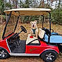 dog, golf_cart, outdoor, forest, pet, animal, red, seat, harness, blanket, wheel, steering_wheel, nature, grass, trees, canopy, parked, happy, tongue_out, daytime