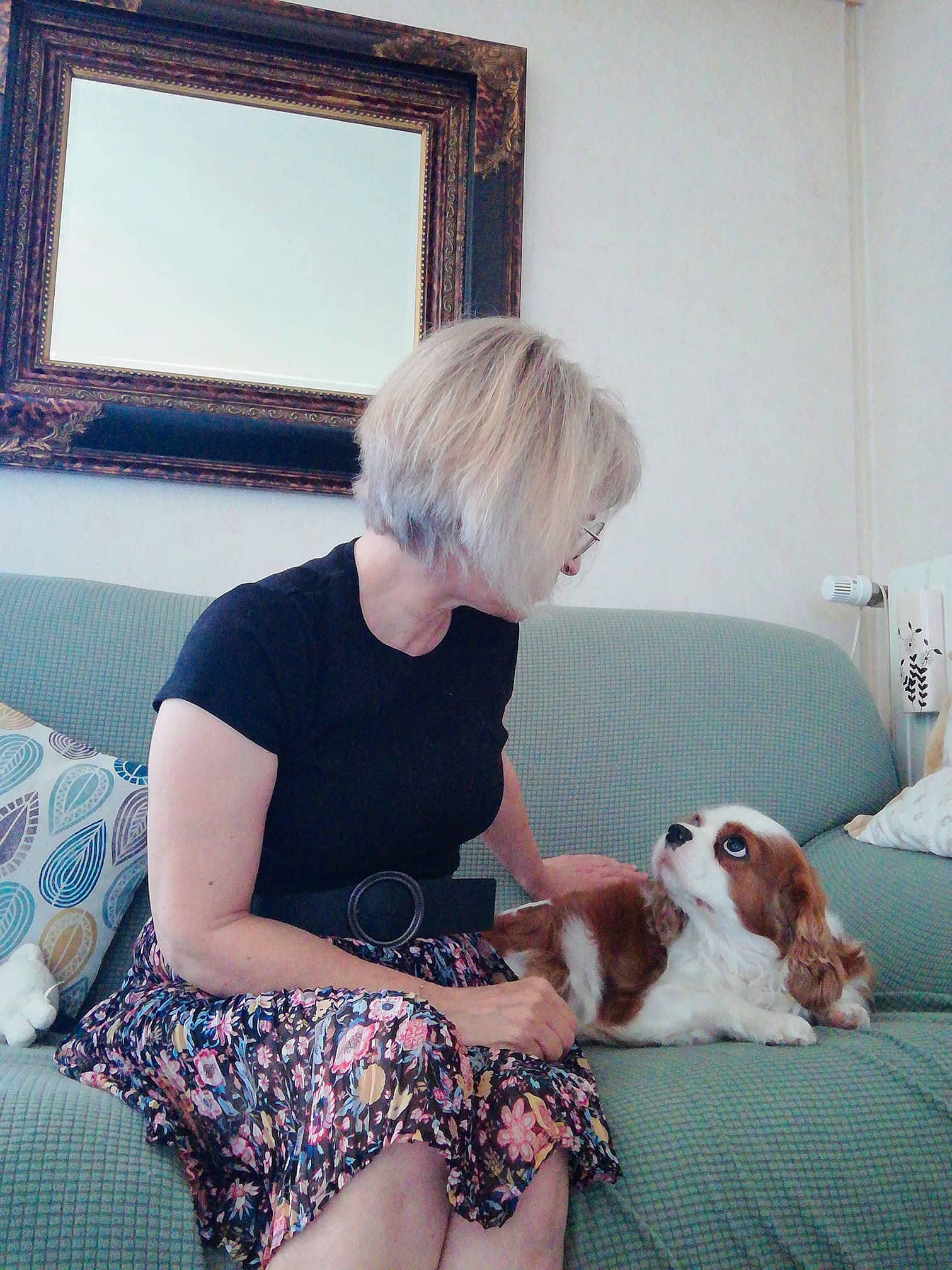 Naya a rejoint le concours — aidez-le/la à gagner de superbes lots ! bangs, carnivore, comfort, companion_dog, couch, dog, dog_breed, eyewear, fawn, flooring, fur, human_leg, knee, lap, living_room, picture_frame, room, sitting, thigh, toy_dog