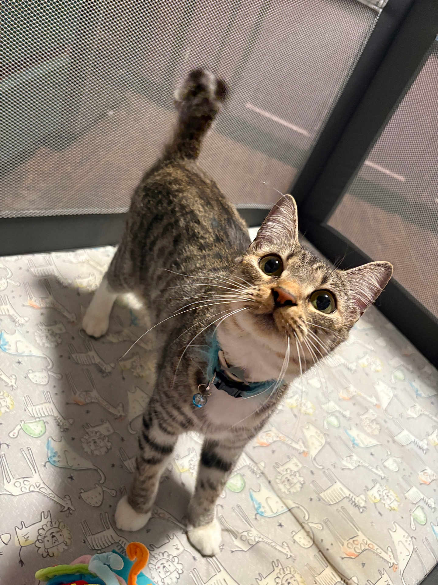 Benny
