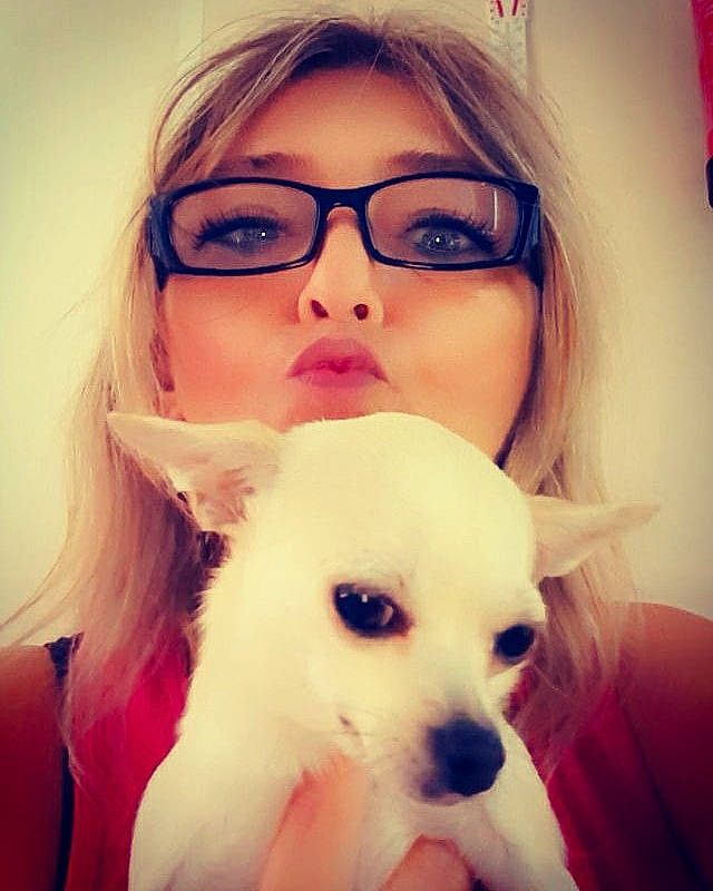 Choupette participe au concours pour gagner de l'argent avec cette photo : beauty, blond, canidae, companion_dog, cool, dog, dog_breed, eye, eyebrow, eyewear, face, glasses, hair, hairstyle, head, lip, nose, puppy_love, skin, snout