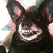 Dafney is registered to the contest to win money with this photo: