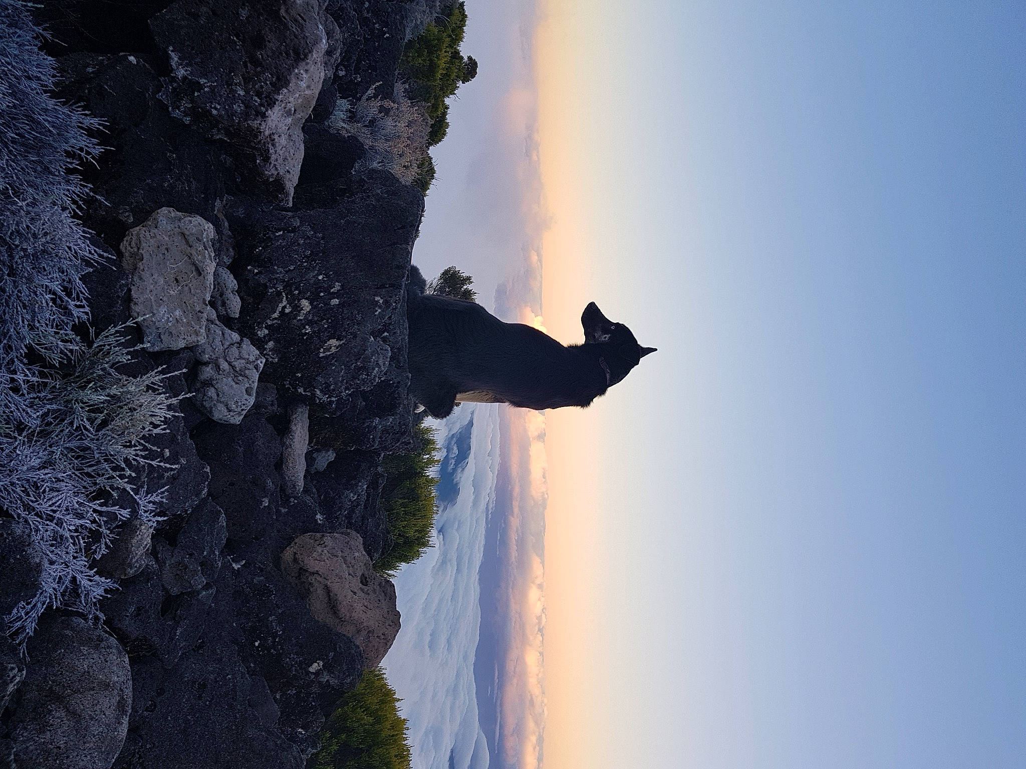 Oscar a rejoint le concours — aidez-le/la à gagner de superbes lots ! art, azure, backlighting, cloud, formation, geological_phenomenon, landscape, mountain, nature, plant, recreation, reflection, rock, shadow, sky, terrain, tree, water, winter, wood