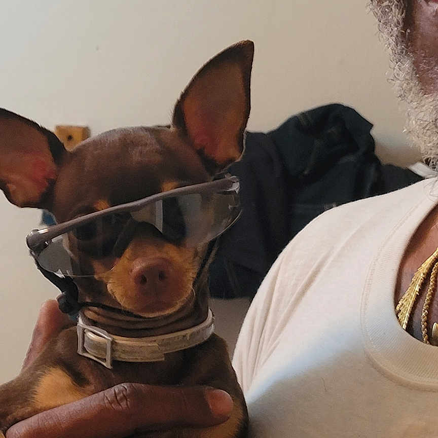 Nala