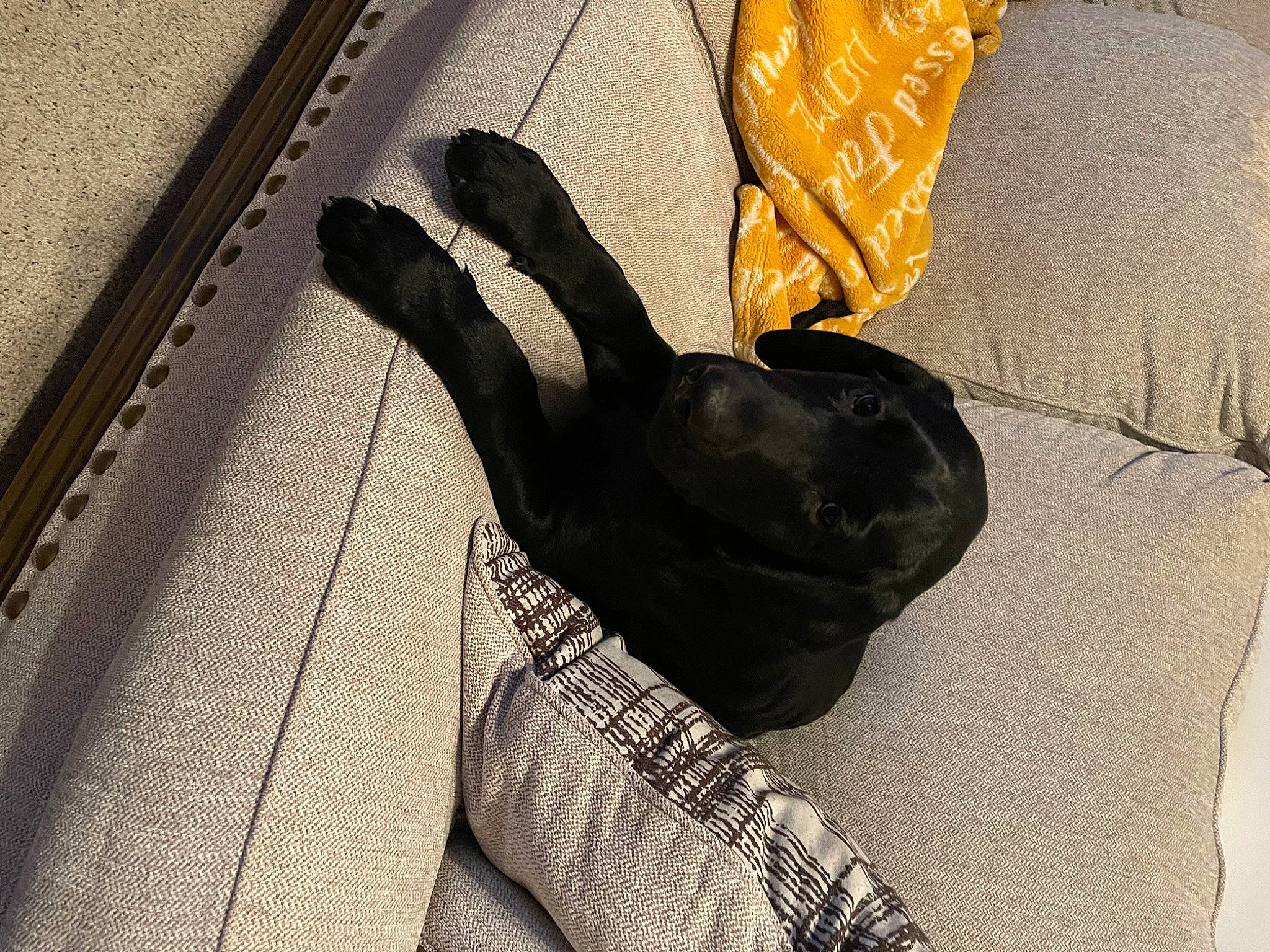 Moses Lee Smith is registered to the contest to win money with this photo: bag, comfort, denim, fashion_accessory, gesture, glove, grey, human_leg, knee, nail, pattern, personal_protective_equipment, sleeve, sportswear, thigh, thumb, tints_and_shades, waist, wood, wrist