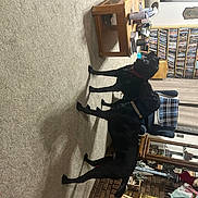 Noah And Moss joined the competition — help win amazing prizes! art, chair, comfort, concrete, flooring, machine, room, visual_arts