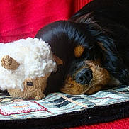Hysidore participe au concours pour gagner de l'argent avec cette photo :
