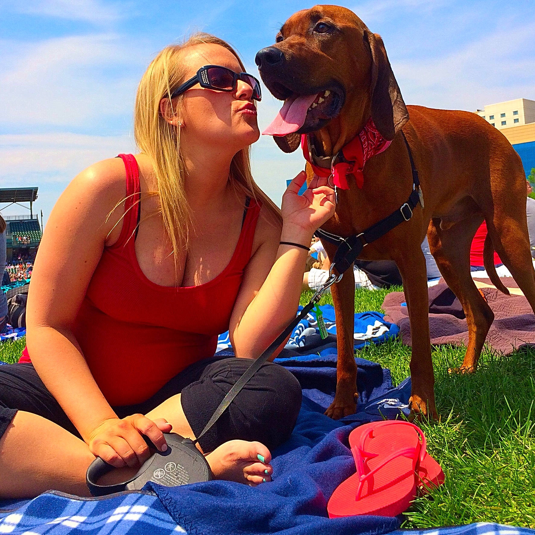 Hank joined the competition — help win amazing prizes! blue, carnivore, cloud, companion_dog, dog, dog_breed, eyewear, fawn, fun, goggles, happy, leash, leisure, people_in_nature, recreation, sky, summer, sunglasses, thigh, travel