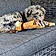 Braga
