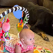 Lauren is registered to the contest to win money with this photo: baby, infant, play_mat, toy, dog, carpet, living_room, couch, pink_clothing, polka_dots, floor, pet, animal, child, cute, indoors, resting, colorful, curious, soft_lighting