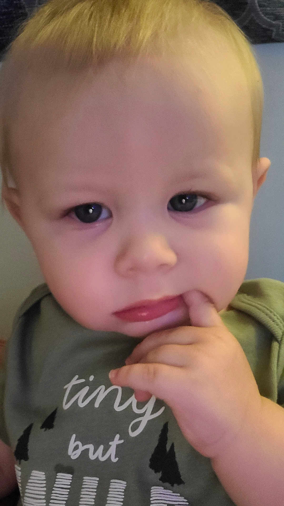 Knox