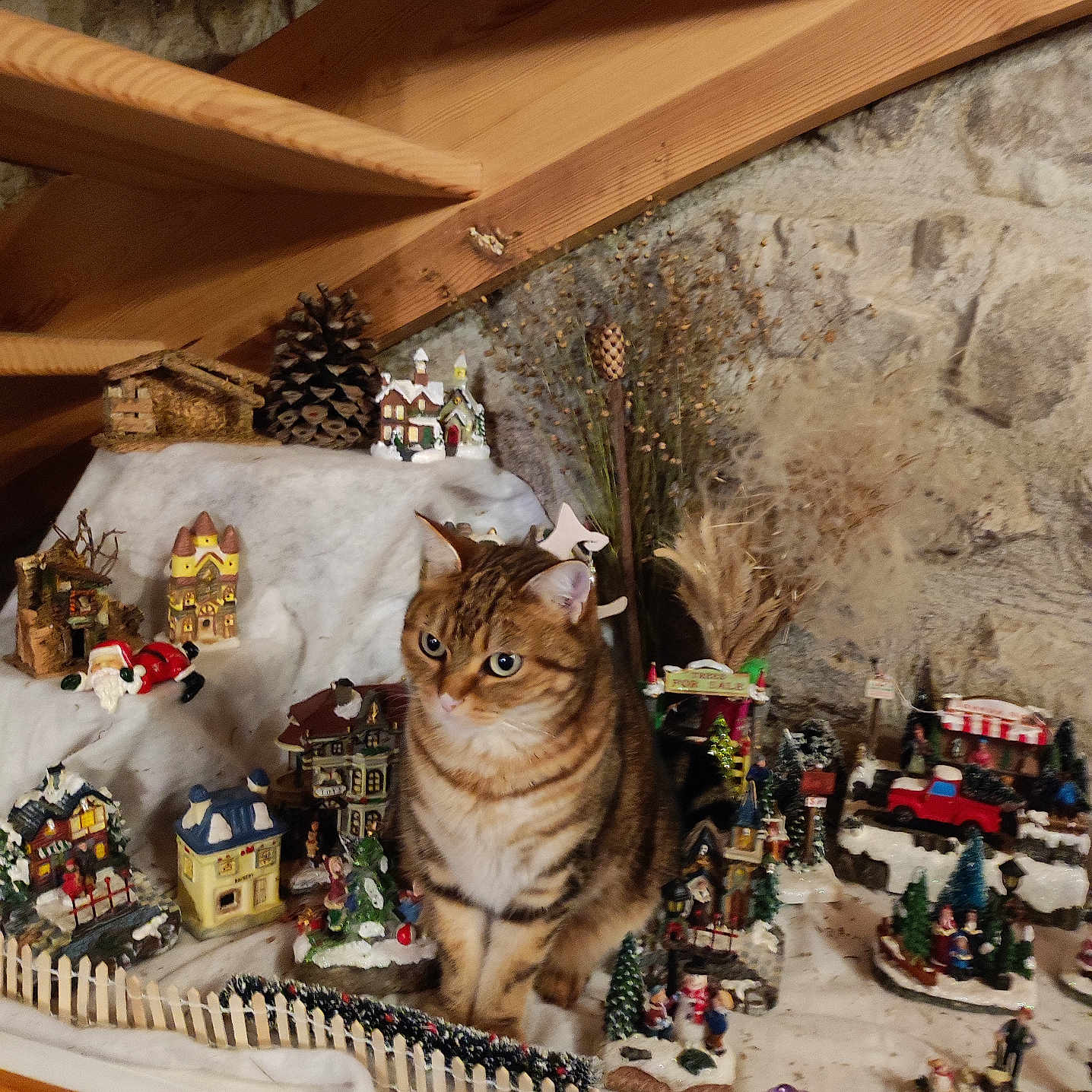 Madame Poupette a rejoint le concours — aidez-le/la à gagner de superbes lots ! attic, brown_cat, cat, curious, decorations, fence, festive, figurines, holiday, indoor, miniature_village, ornaments, pine_cone, plants, sitting, stone_wall, tabby, toy_car, winter_scene, wooden_beams