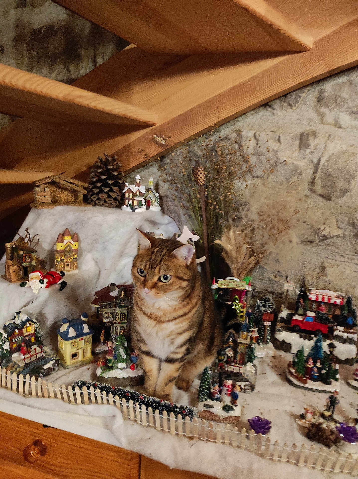Madame Poupette a rejoint le concours — aidez-le/la à gagner de superbes lots ! attic, brown_cat, cat, curious, decorations, fence, festive, figurines, holiday, indoor, miniature_village, ornaments, pine_cone, plants, sitting, stone_wall, tabby, toy_car, winter_scene, wooden_beams