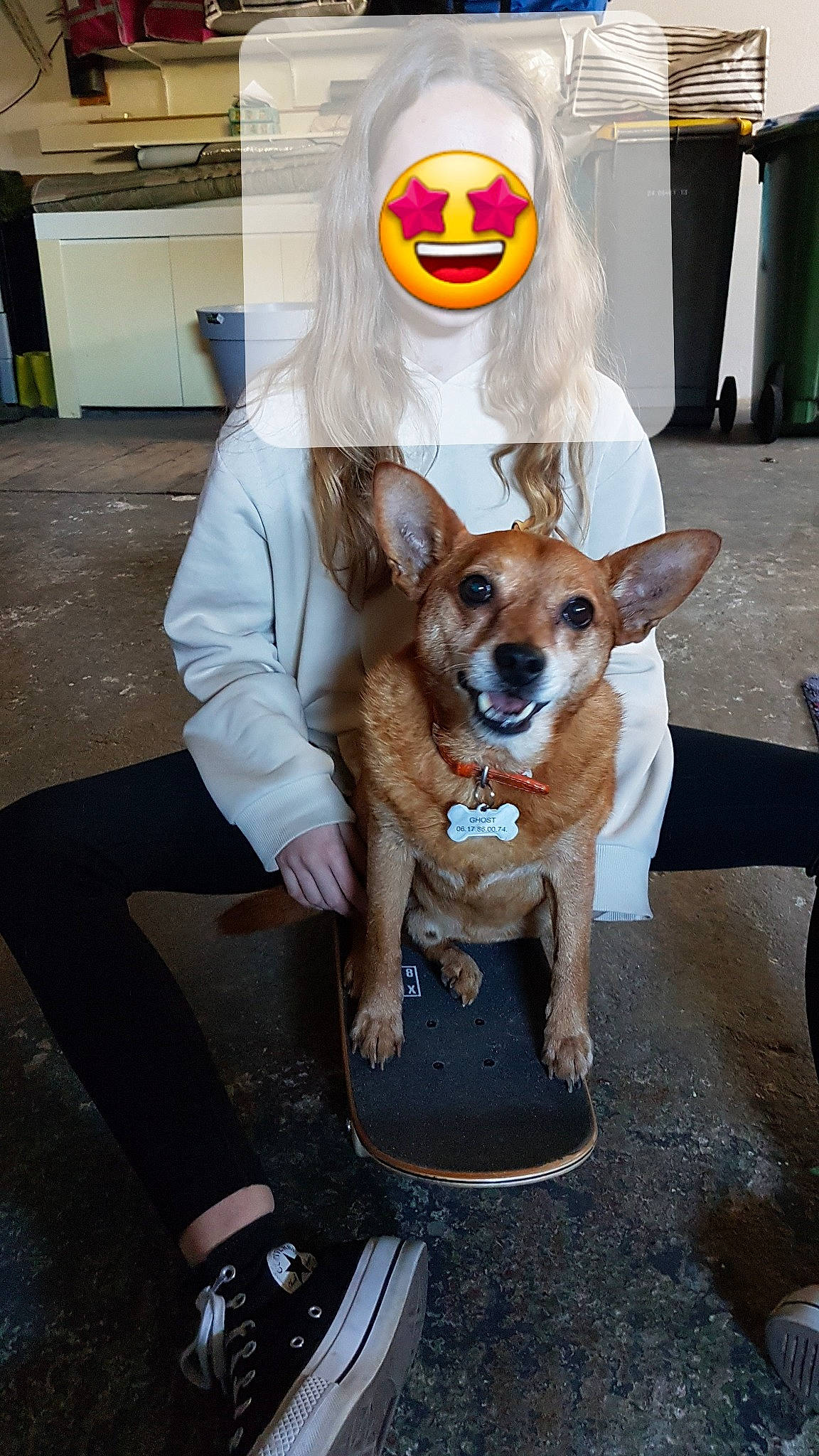 Ghost a rejoint le concours — aidez-le/la à gagner de superbes lots ! carnivore, chair, collar, companion_dog, costume, dog, dog_breed, dog_clothes, dog_supply, eyewear, fashion_accessory, fawn, flooring, fur, mammal, snapshot, snout, street_fashion, white, working_animal