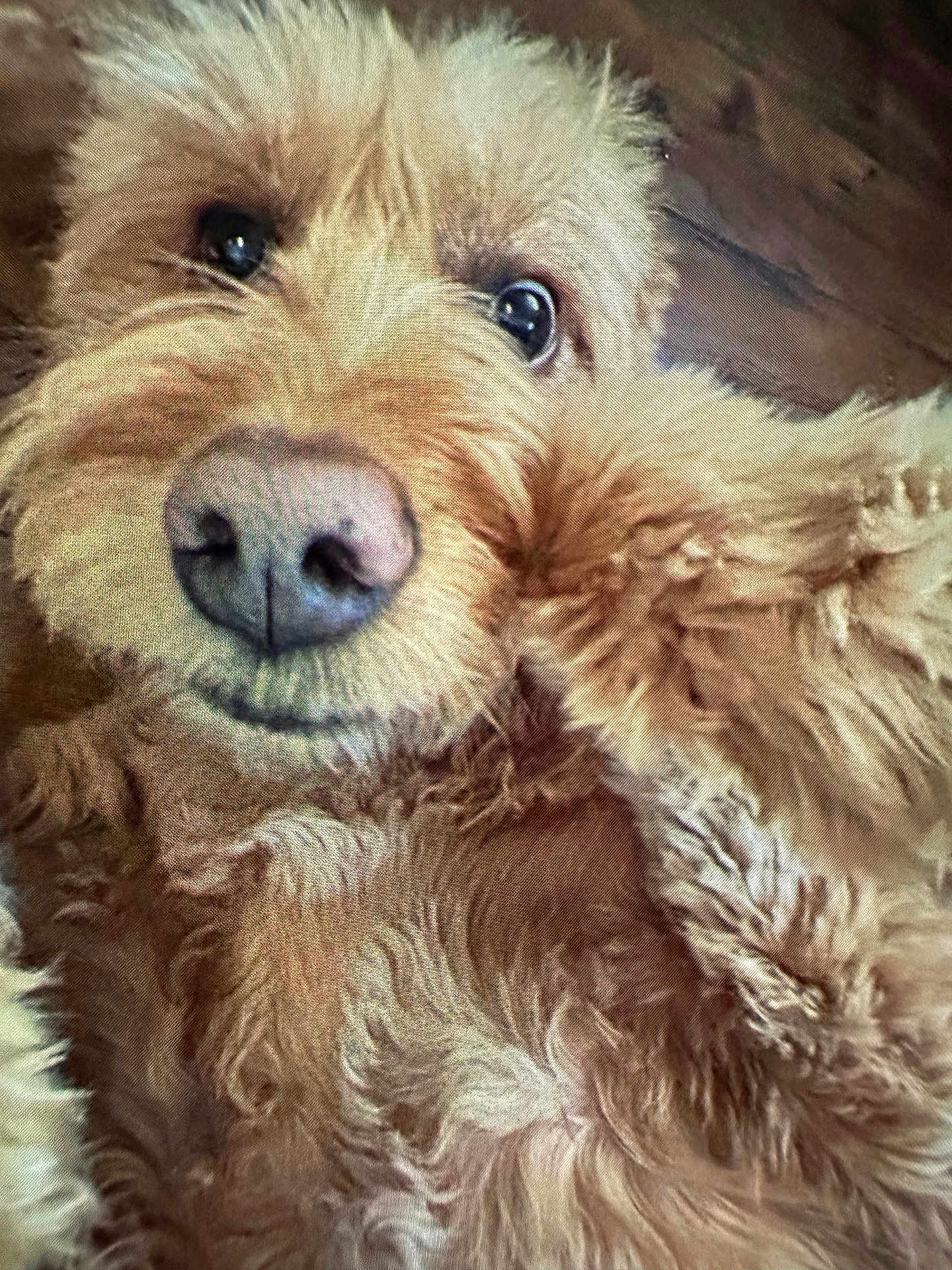 Rosie