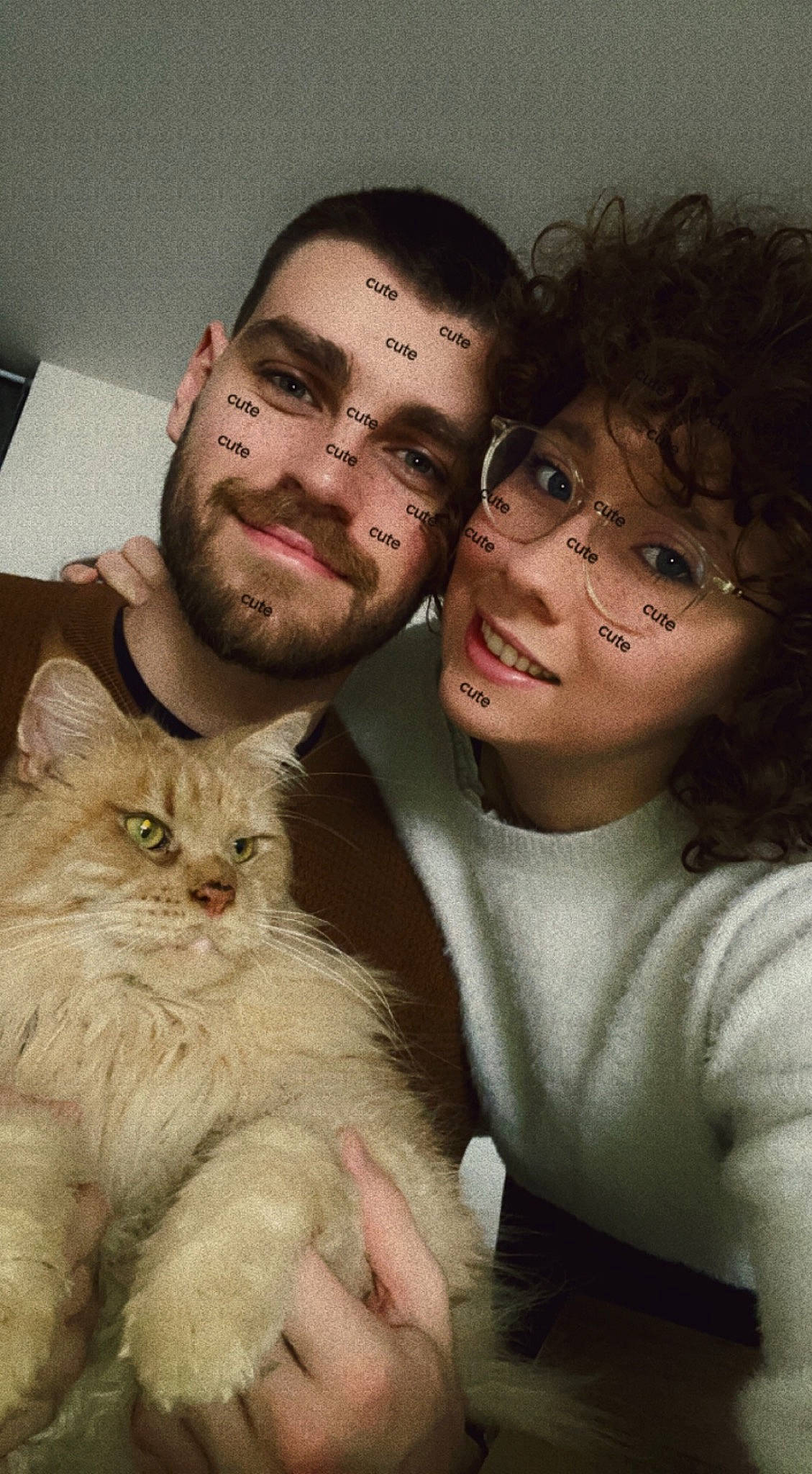 Rammstein a rejoint le concours — aidez-le/la à gagner de superbes lots ! beard, carnivore, cat, domestic_short_haired_cat, event, eye, eyewear, facial_hair, fawn, felidae, flash_photography, fur, gesture, glasses, happy, hug, selfie, small_to_medium_sized_cats, smile, whiskers