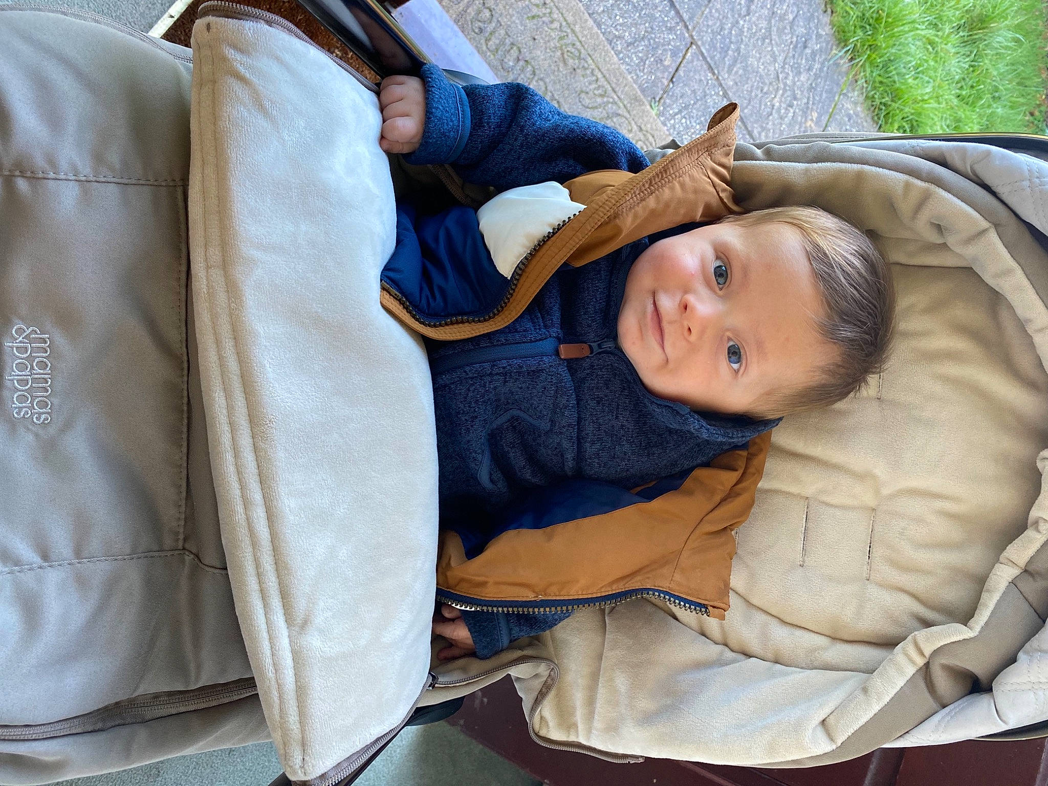 Bruno is registered to the contest to win money with this photo: baby, baby_carriage, baby_products, child, comfort, electric_blue, fun, fur, grass, hand, happy, human_body, leisure, linens, nap, person, plant, sitting, smile, toddler