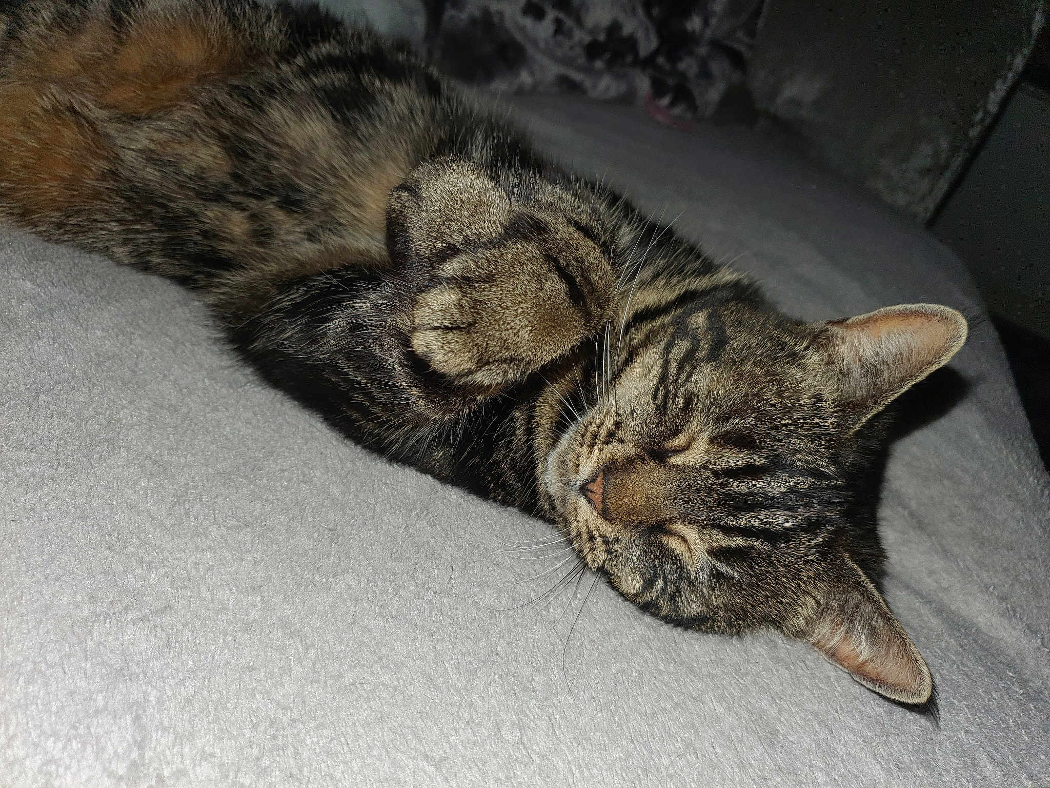 Missy
