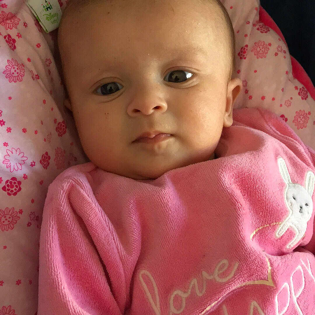 Stella