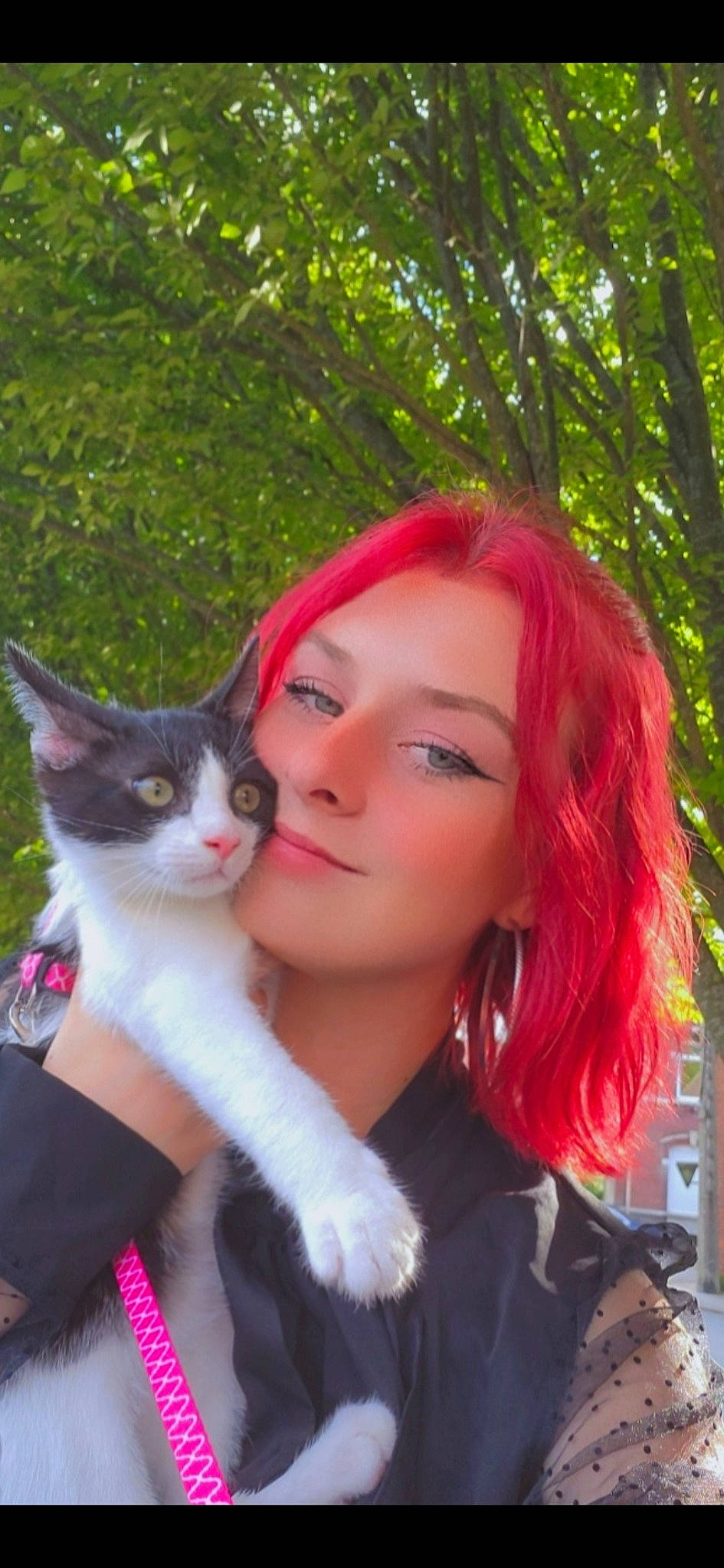 Felix a rejoint le concours — aidez-le/la à gagner de superbes lots ! bangs, black_hair, carnivore, cat, eyebrow, eyelash, fawn, felidae, formal_wear, fur, grass, happy, lip, long_hair, pink, red_hair, small_to_medium_sized_cats, tail, tree, whiskers