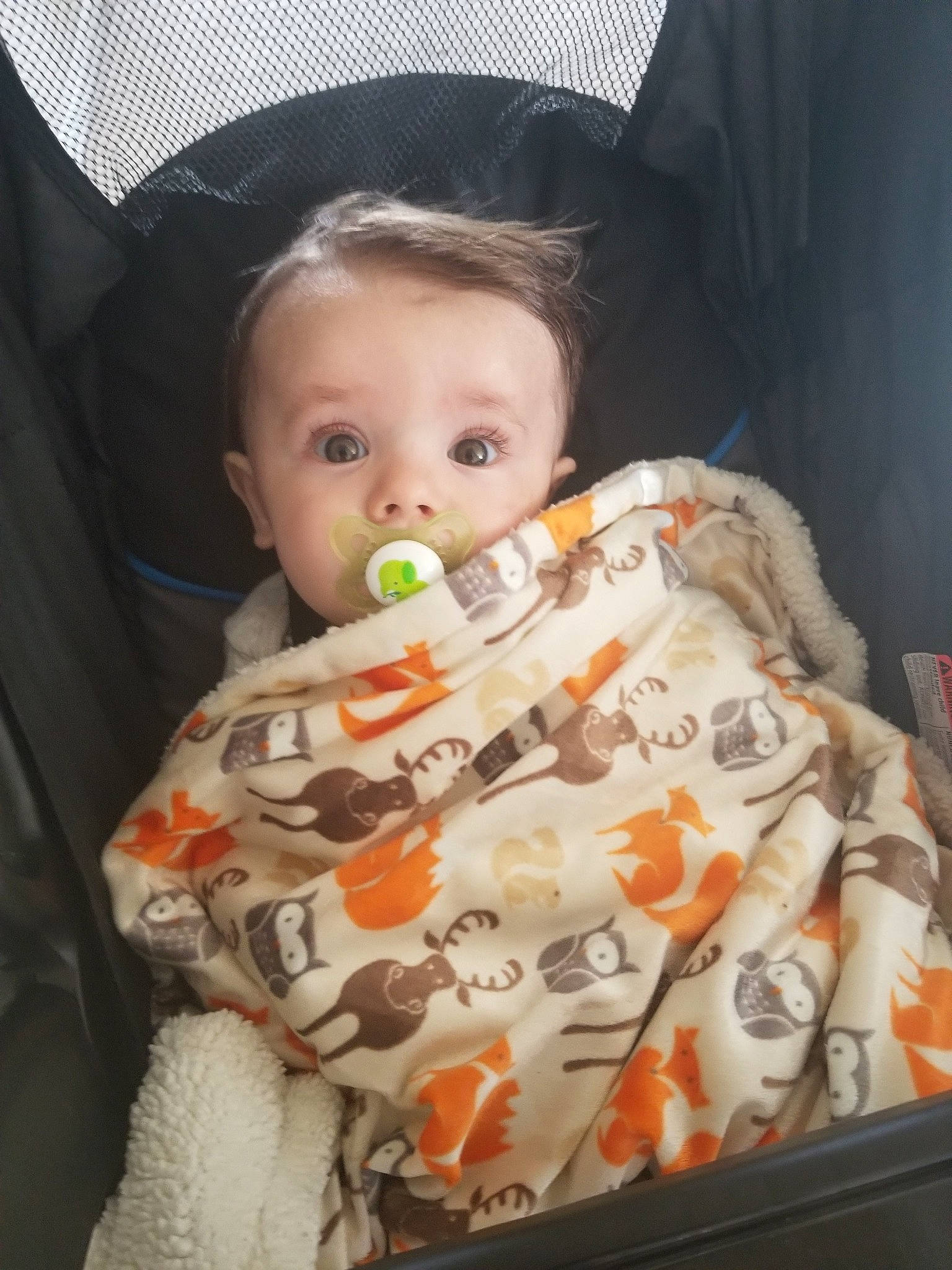 Bear is registered to the contest to win money with this photo: baby, baby_products, child, person, product, toddler