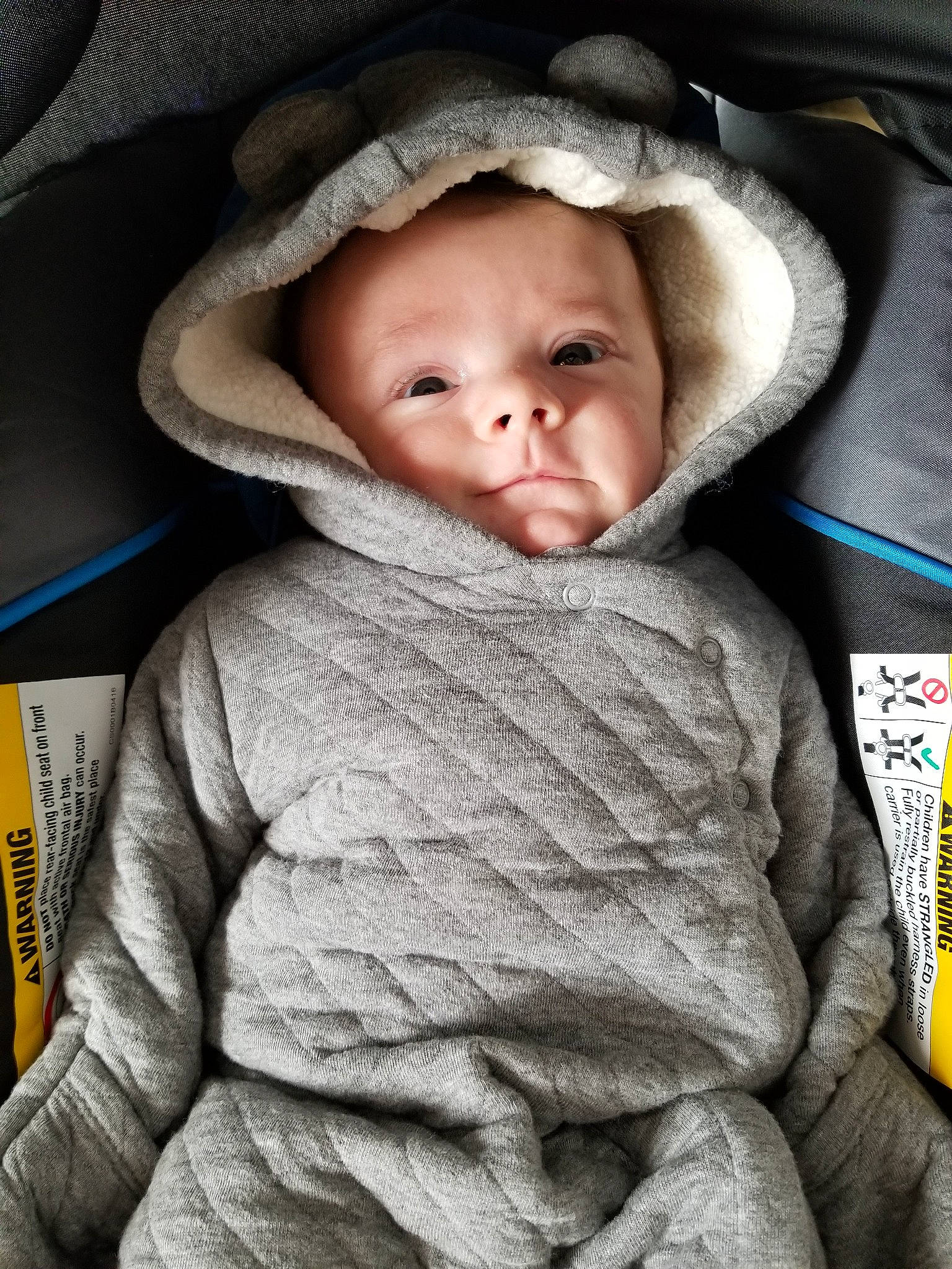 Bear is registered to the contest to win money with this photo: baby, baby_in_car_seat, car_seat, cheek, child, person, skin, toddler