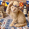 kitten, cat, sailor_hat, seashells, sea_glass, nautical_theme, lighthouse, decor, flag_bunting, wooden_floor, soft_lighting, orange_cat, pet, cute, animal, indoor, closeup, adorable, posing, small_hat