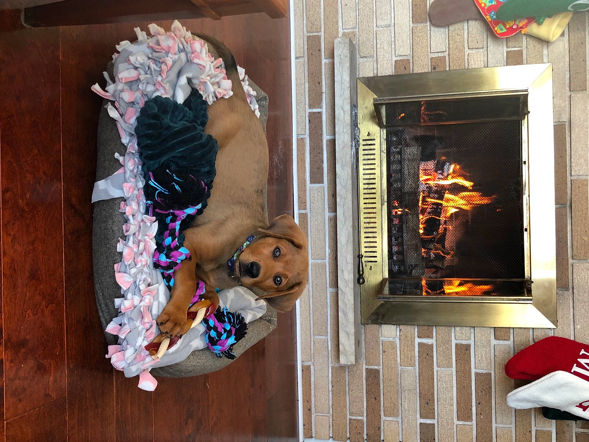 Guinness joined the competition — help win amazing prizes! carmine, fire, fire_screen, fireplace, flag, flame, gas, hearth, heat, sporting_group, toy, wood_burning_stove