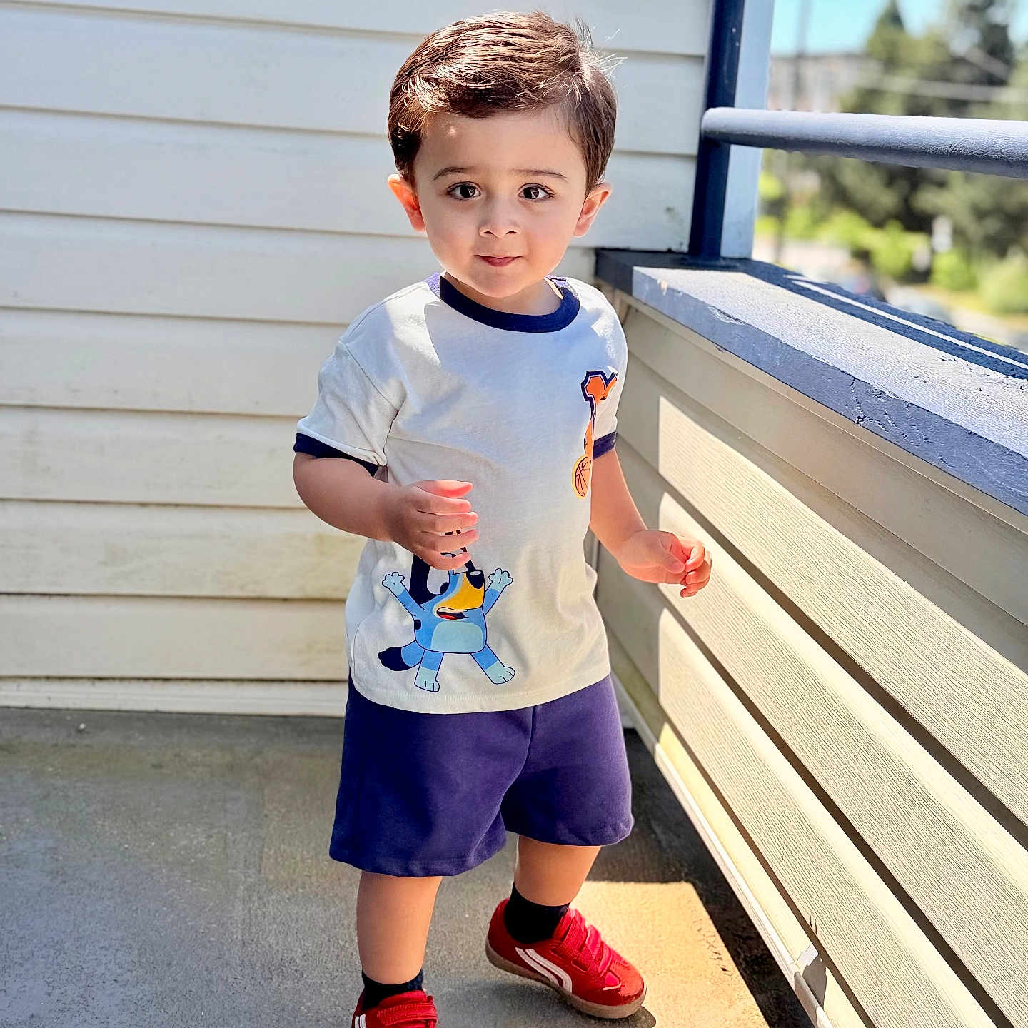 Zohan is registered to the contest to win money with this photo: child, toddler, boy, standing, outdoor, balcony, sunlight, clothing, shorts, tshirt, red_shoes, cartoon, hair, smile, face, person, daylight, railing, concrete_floor, playful