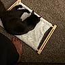 Milo joined the competition — help win amazing prizes! animal, black_cat, carpet, cat, cozy, foot, fur, hammock_bed, home, human, indoor, paw, pet, relaxation, resting, sleeping, small_bed, soft, toenails, wooden_frame
