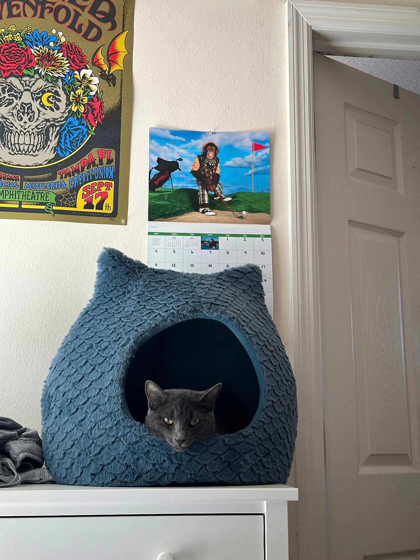 Khaleesi