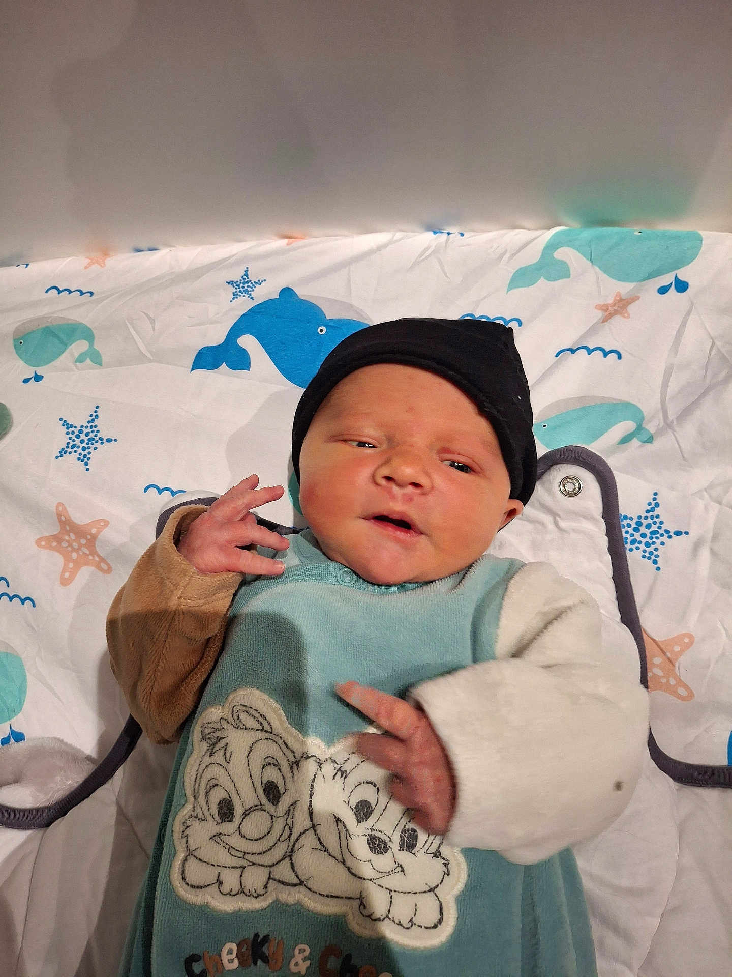 Arés participe au concours pour gagner de l'argent avec cette photo : baby, newborn, infant, face, hat, blanket, bedding, whale_pattern, starfish, sea_theme, onesie, cartoon_characters, hands, portrait, soft_lighting, cute, cozy, sleepy, crib, expression