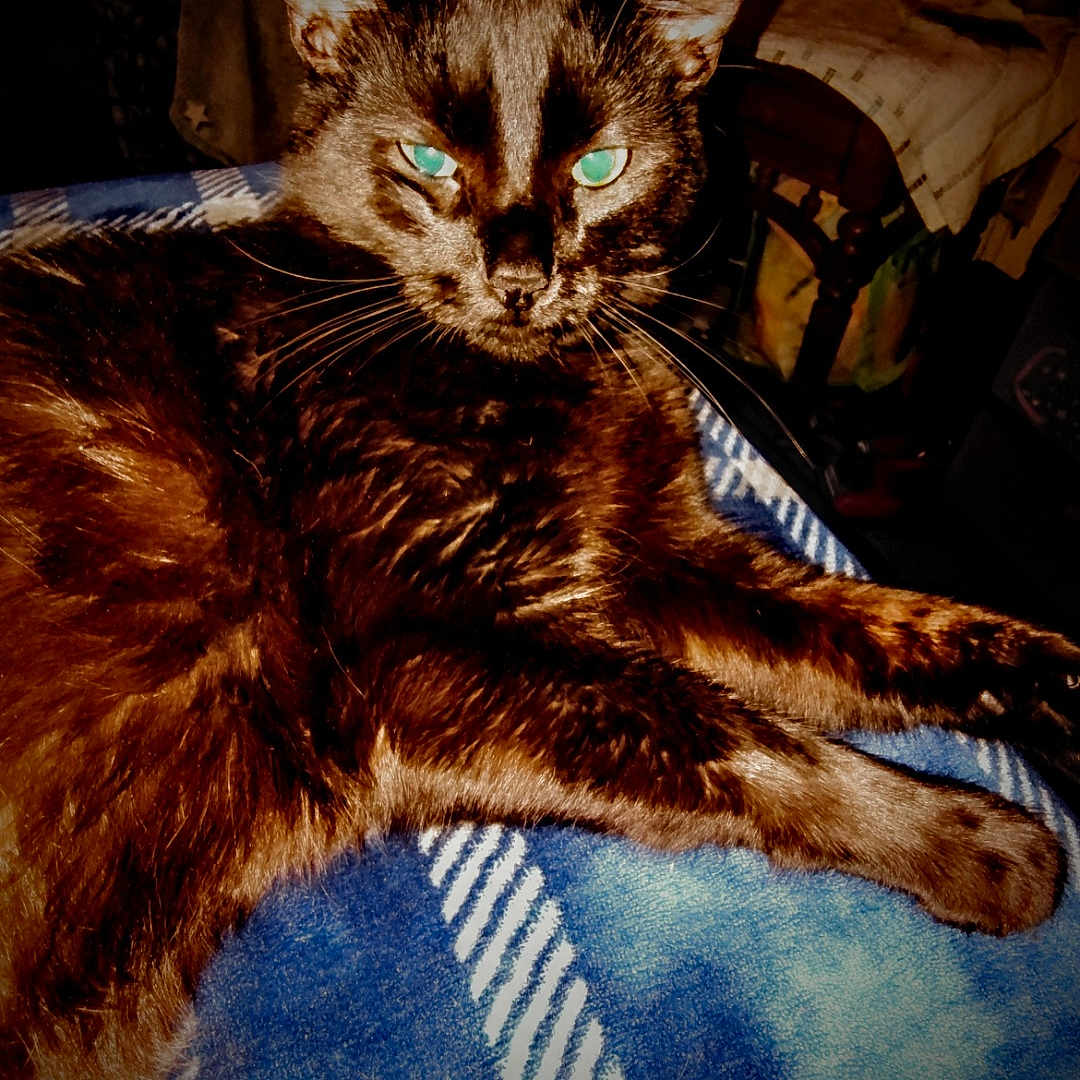 Eclipse Aka Mr.black