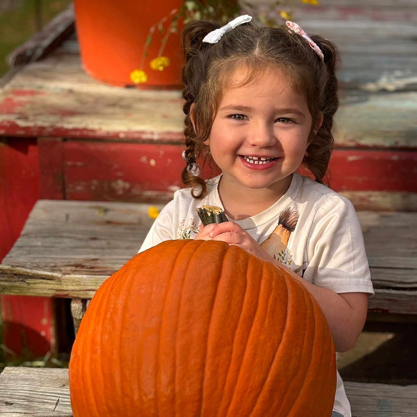 Juliette is registered to the contest to win money with this photo: child, face, female, food, girl, happy, head, jar, person, photography, plant, planter, portrait, pottedplant, pottery, produce, pumpkin, squash, vase, vegetable