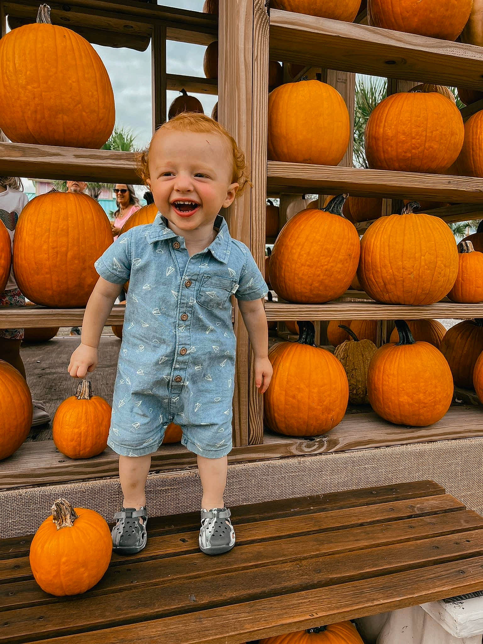 Beckham joined the competition — help win amazing prizes! calabaza, clothing, cucurbita, food, fruit, gourd, happy, headwear, joy, local_food, natural_foods, orange, person, photograph, plant, pumpkin, smile, squash, vegetable, whole_food