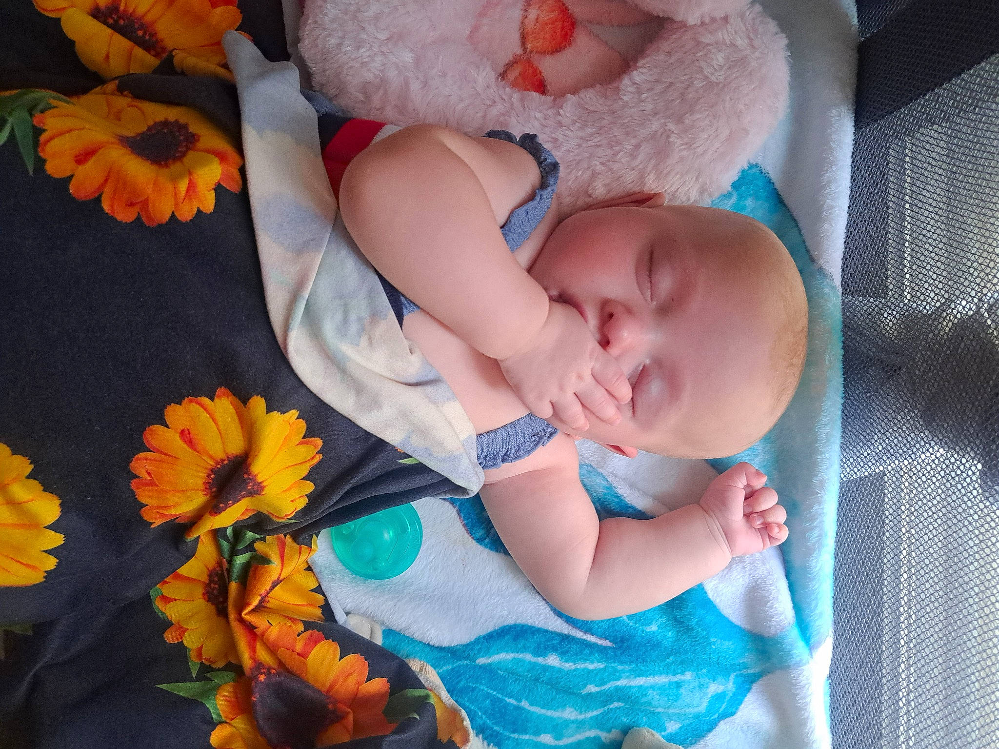 Nevaeh is registered to the contest to win money with this photo: arm, baby, baby_toddler_clothing, beauty, blue, child, comfort, eye, finger, hand, happy, headgear, pattern, people, person, petal, plant, product, skin, textile