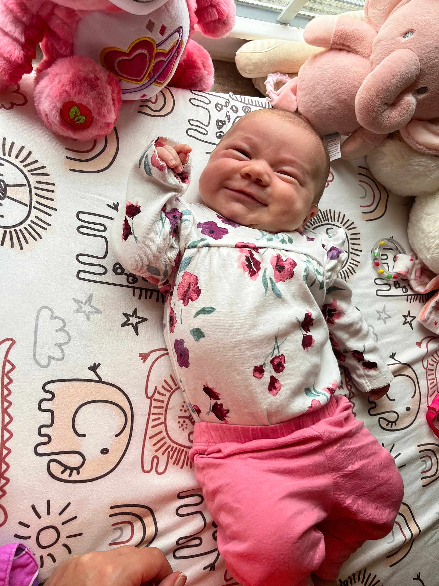 Amelia