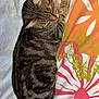 bed, bedding, blanket, cat, close_up, colorful, cozy, domestic, floral_pattern, fur, indoor, nap, paws, pet, resting, sleeping, stripes, tabby_cat, top_view, whiskers
