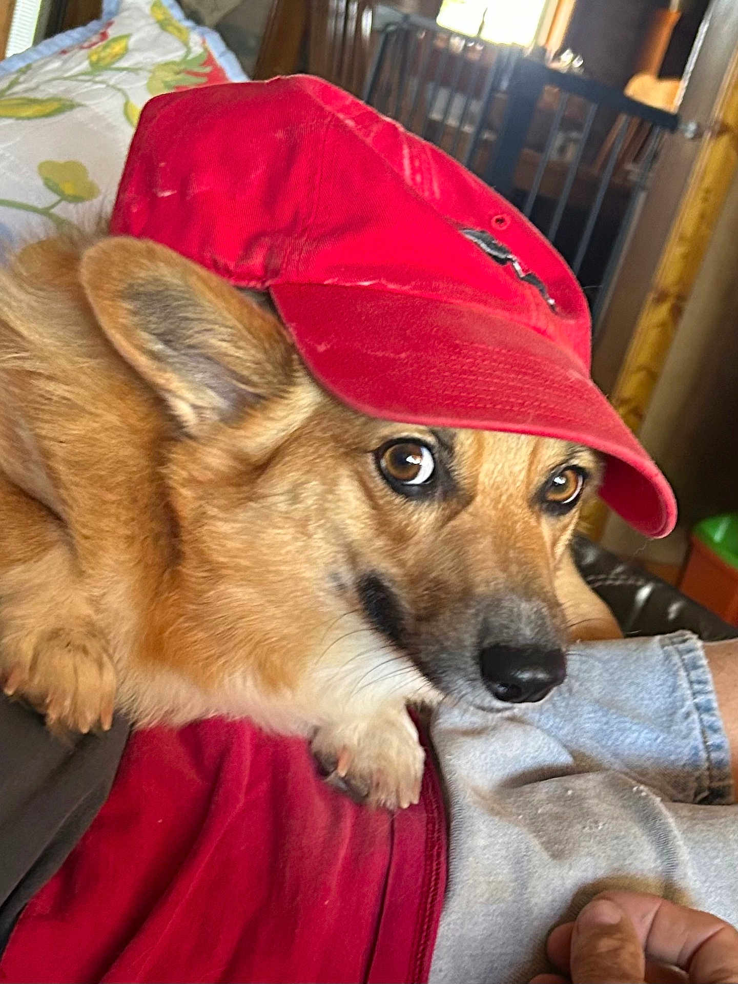 Mia