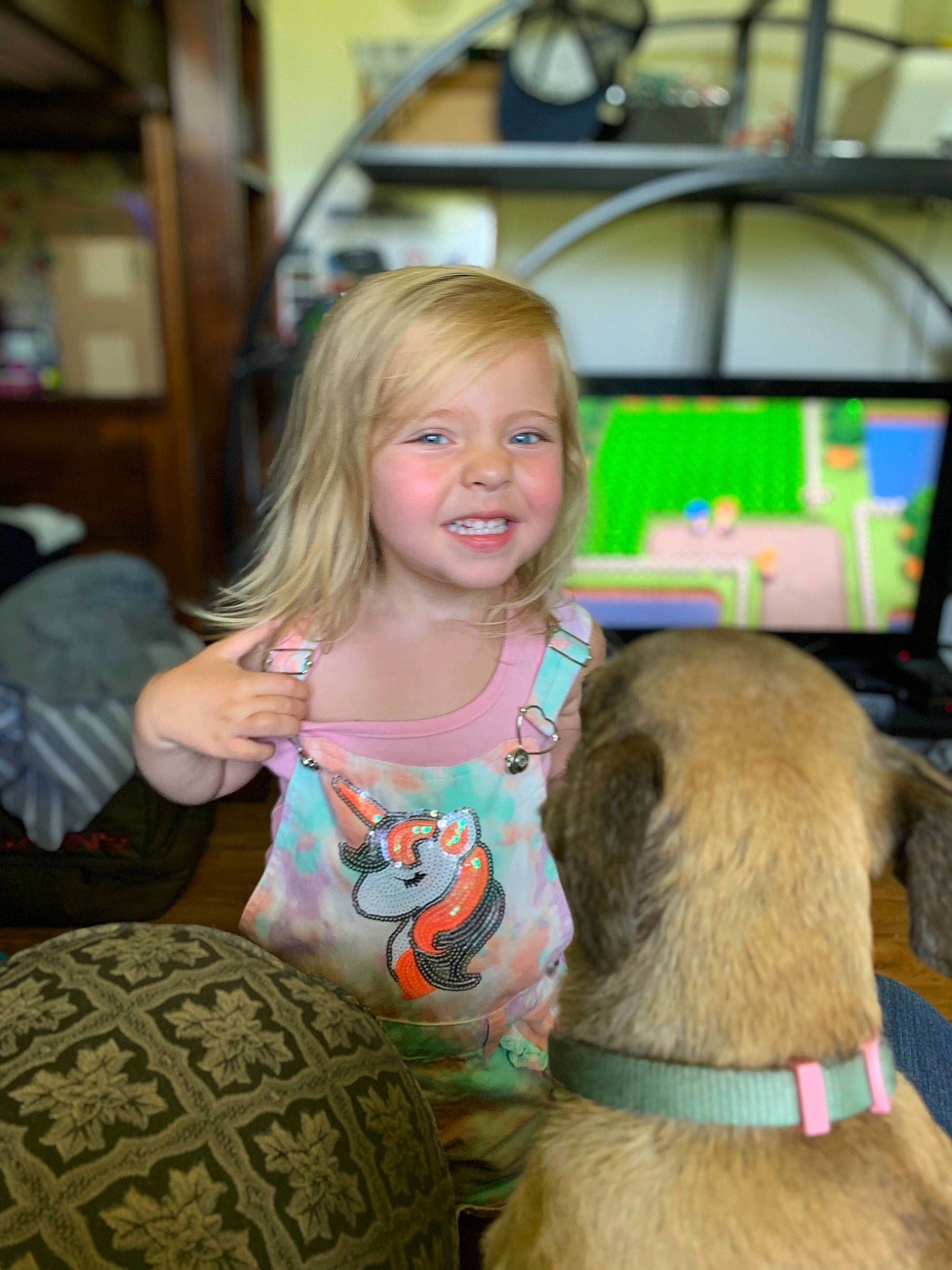 Abigail joined the competition — help win amazing prizes! carnivore, child, companion_dog, dog, dog_breed, event, fawn, fun, fur, joy, leisure, mammal, people, person, room, shelf, smile, stuffed_toy, television, toddler